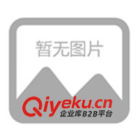 聚丙烯鮑爾環(huán),塑料鮑爾環(huán)，